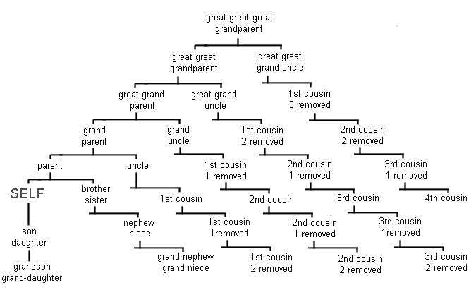 Generation Tree